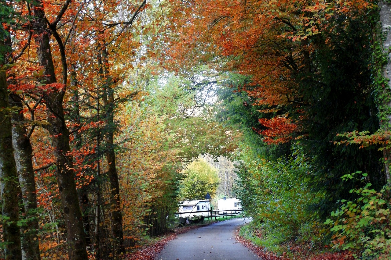 Aufenthalt im Sihlwald