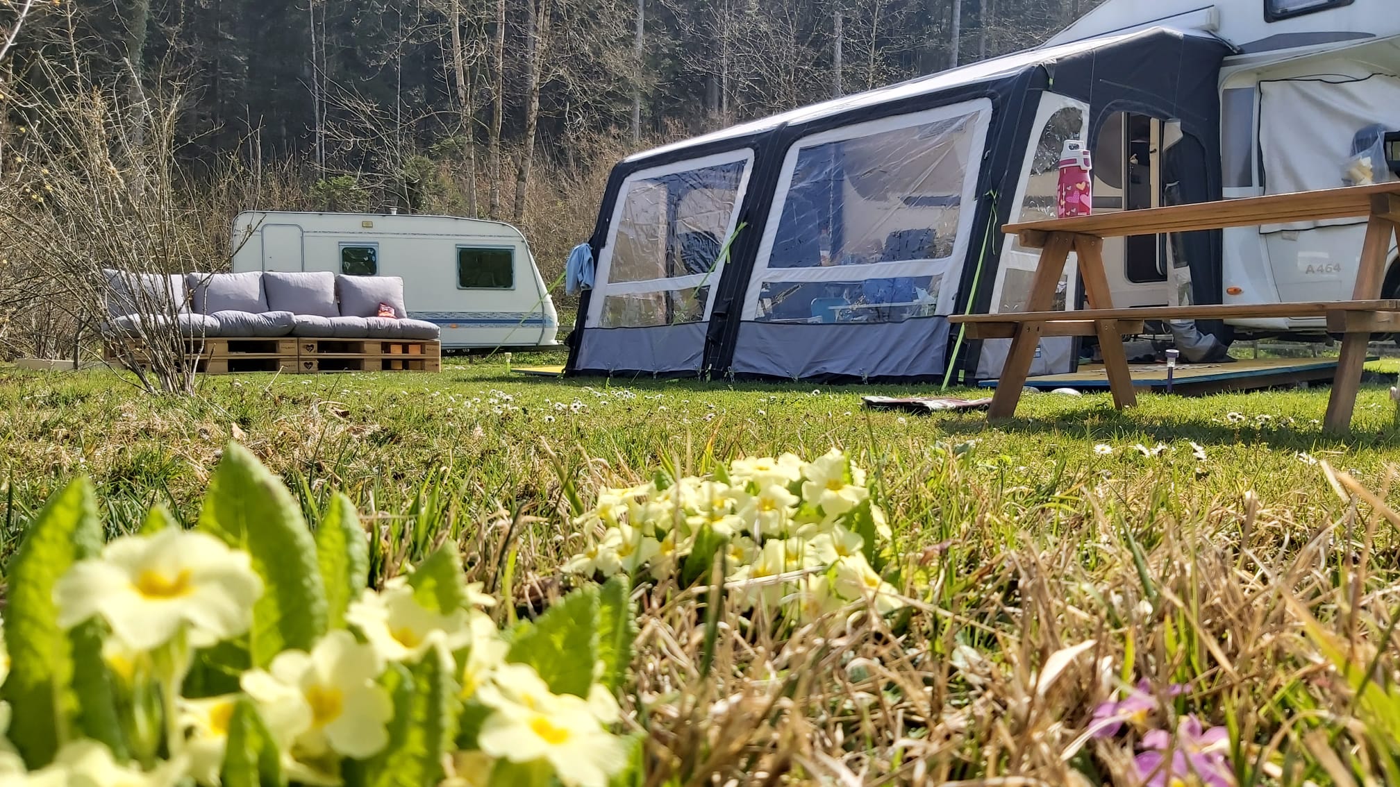 Schönwetter im Sihlwald