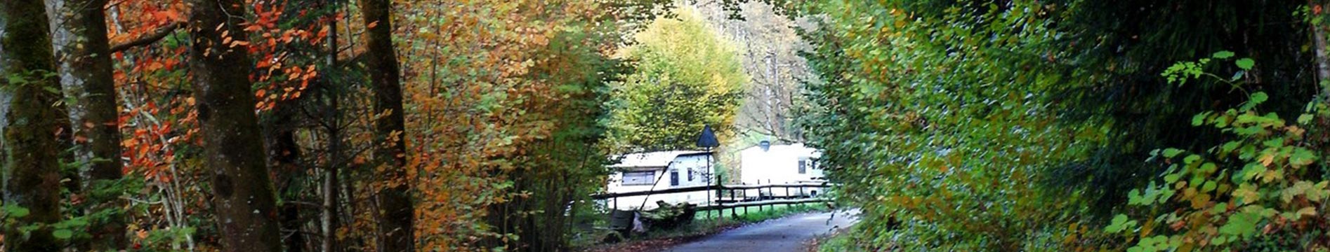 Zufahrt zum Campingplatz Sihlwald